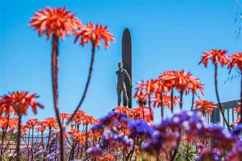Surfers statue with red flowers 2.jpg