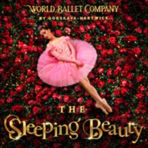SleepingBeauty2027