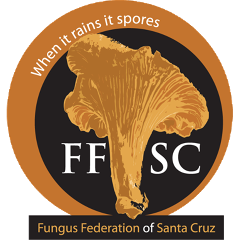 FFSC_logo.png