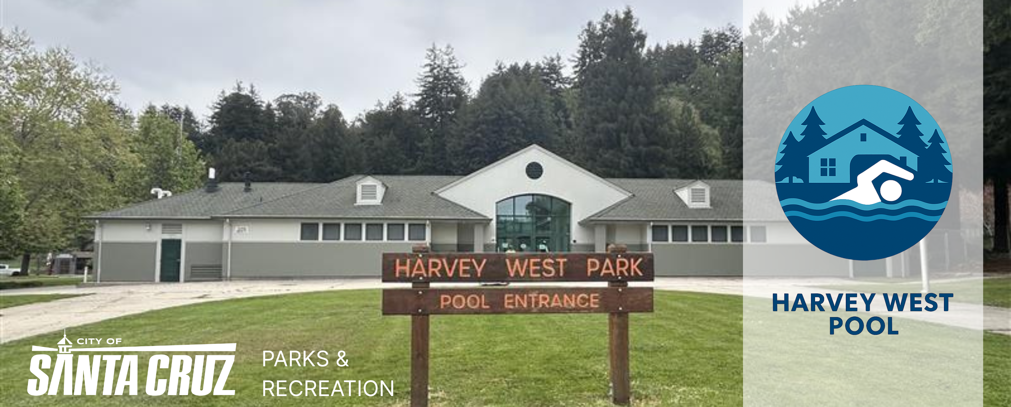 HWP Website Banner.png