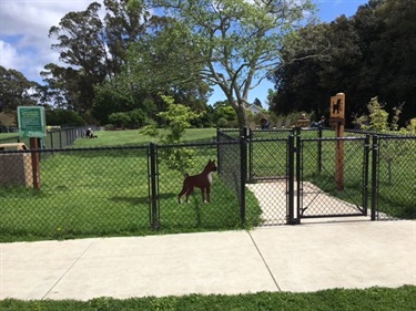 Frederick Street Park