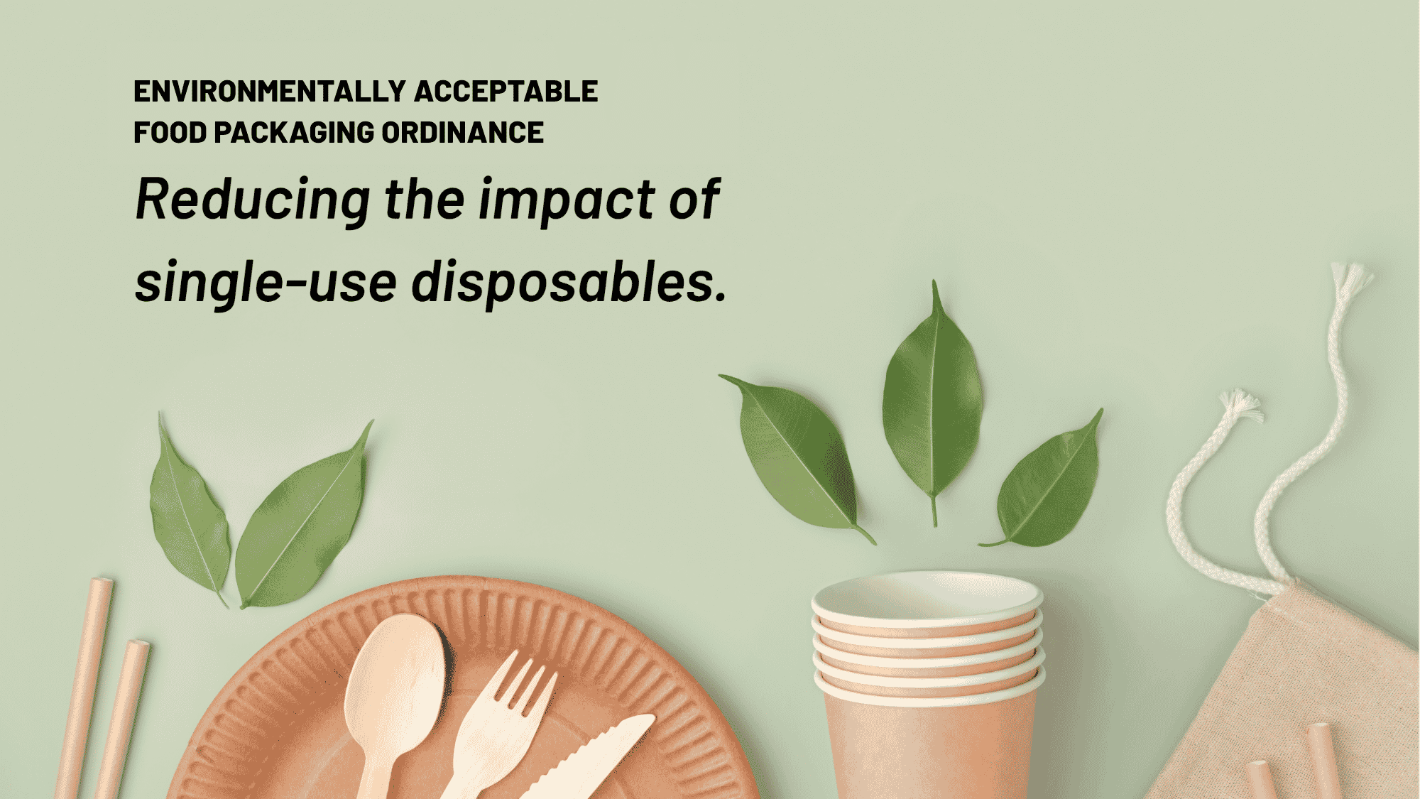 An assortment of fiber-based to-go ware is spread out on a green background. Leaves are scattered in between the to-go-ware items.