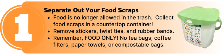 Separate Out Your Food Scraps