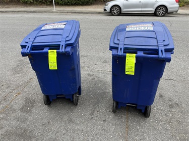 Waste-Audit-6.jpeg