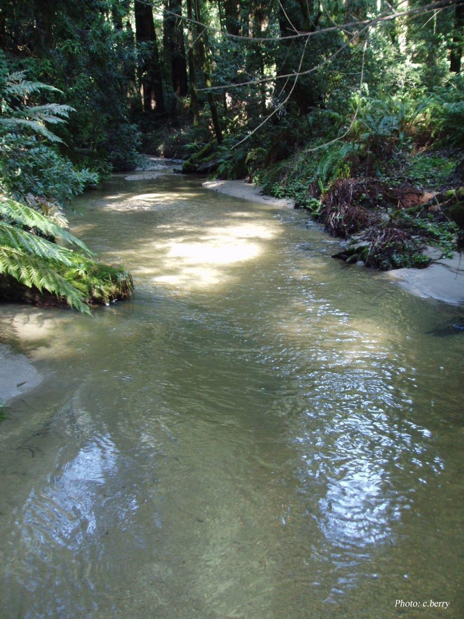 Majors Creek