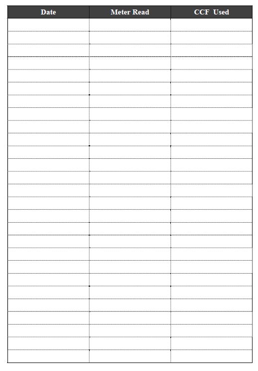 Meter Reading Log