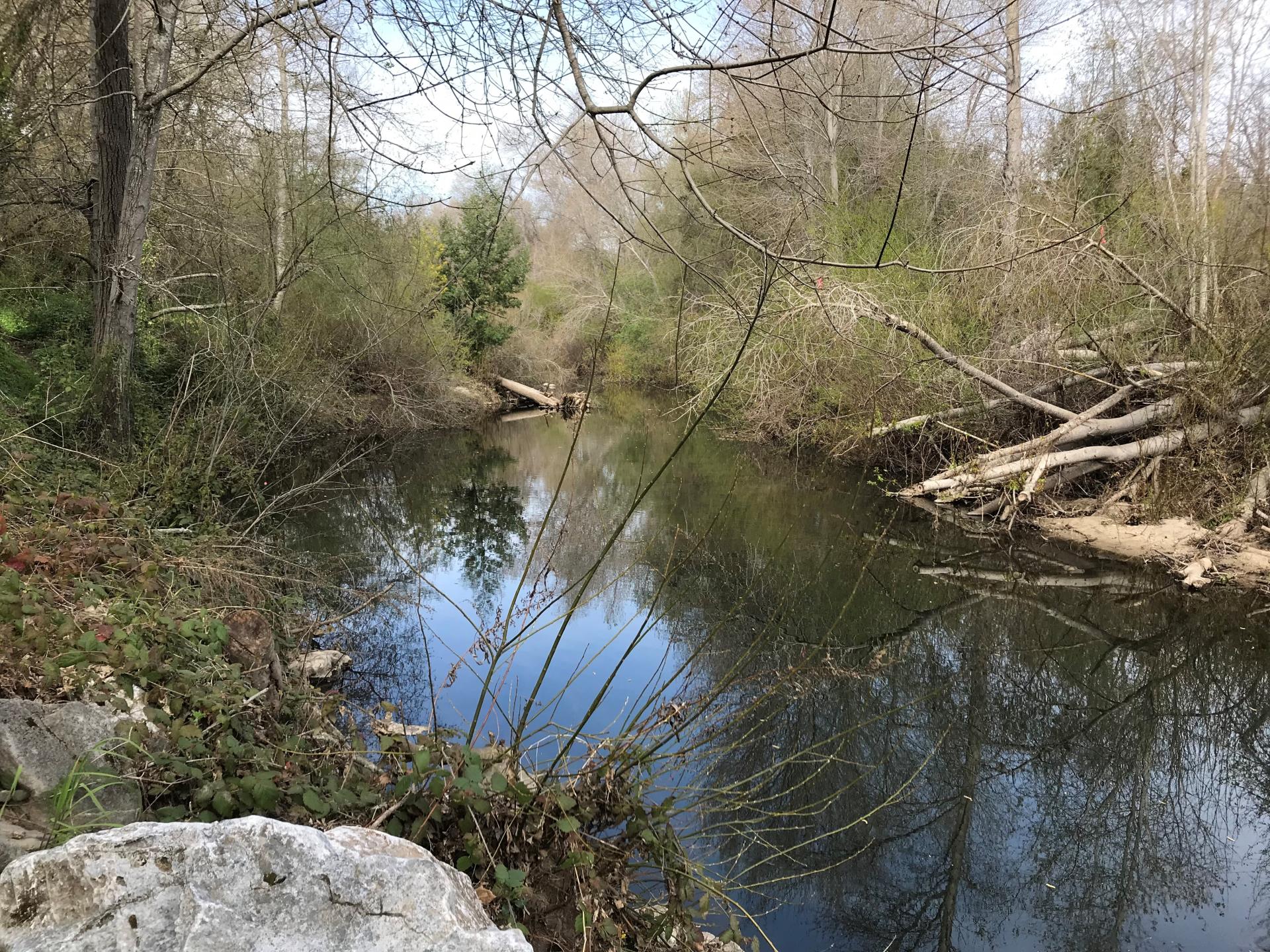 San Lorenzo River near the Tait Street intake